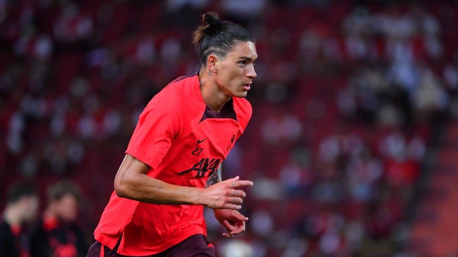 实力和不屈 实力和不屈