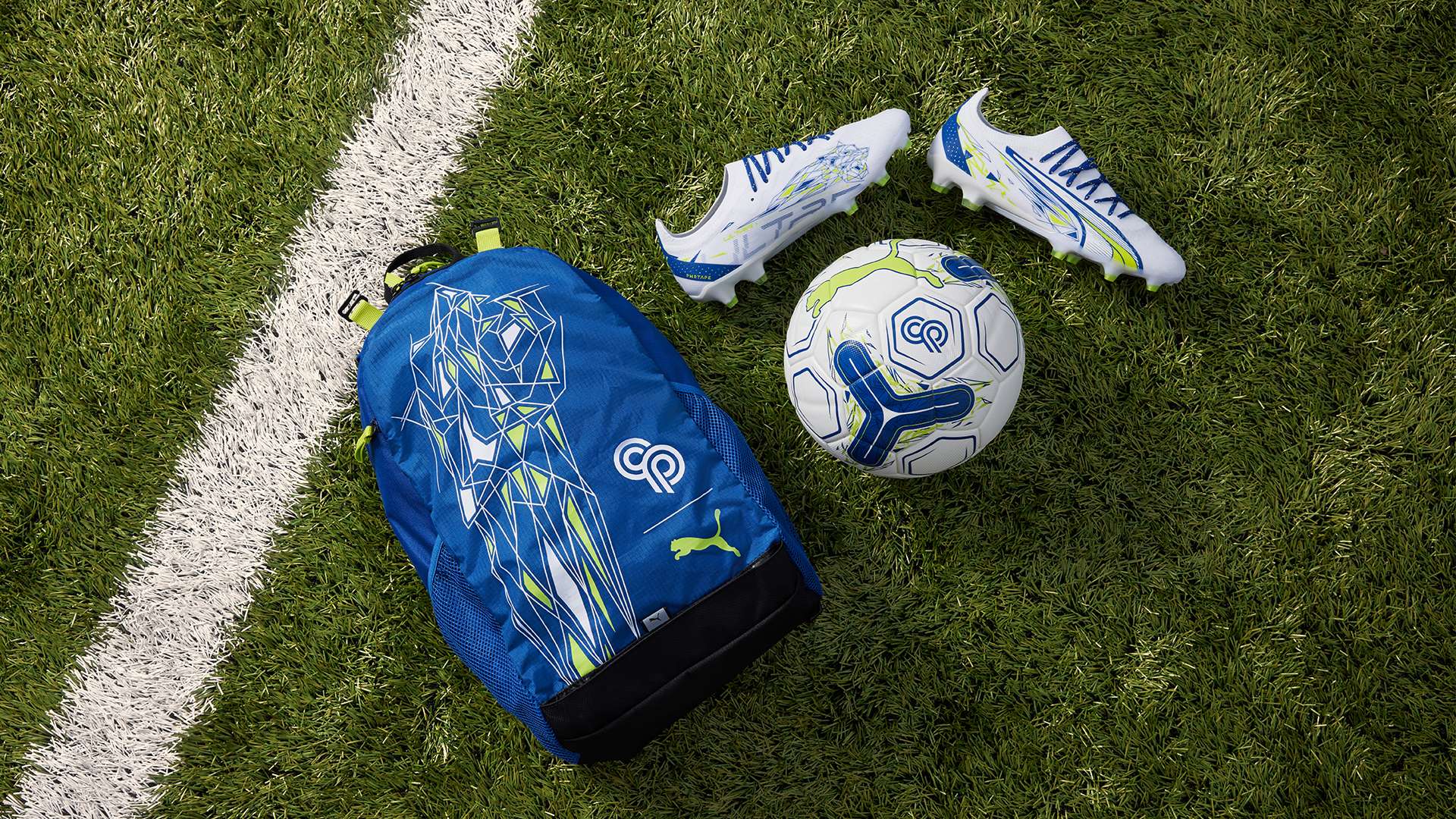 包括地区特 包括地区特