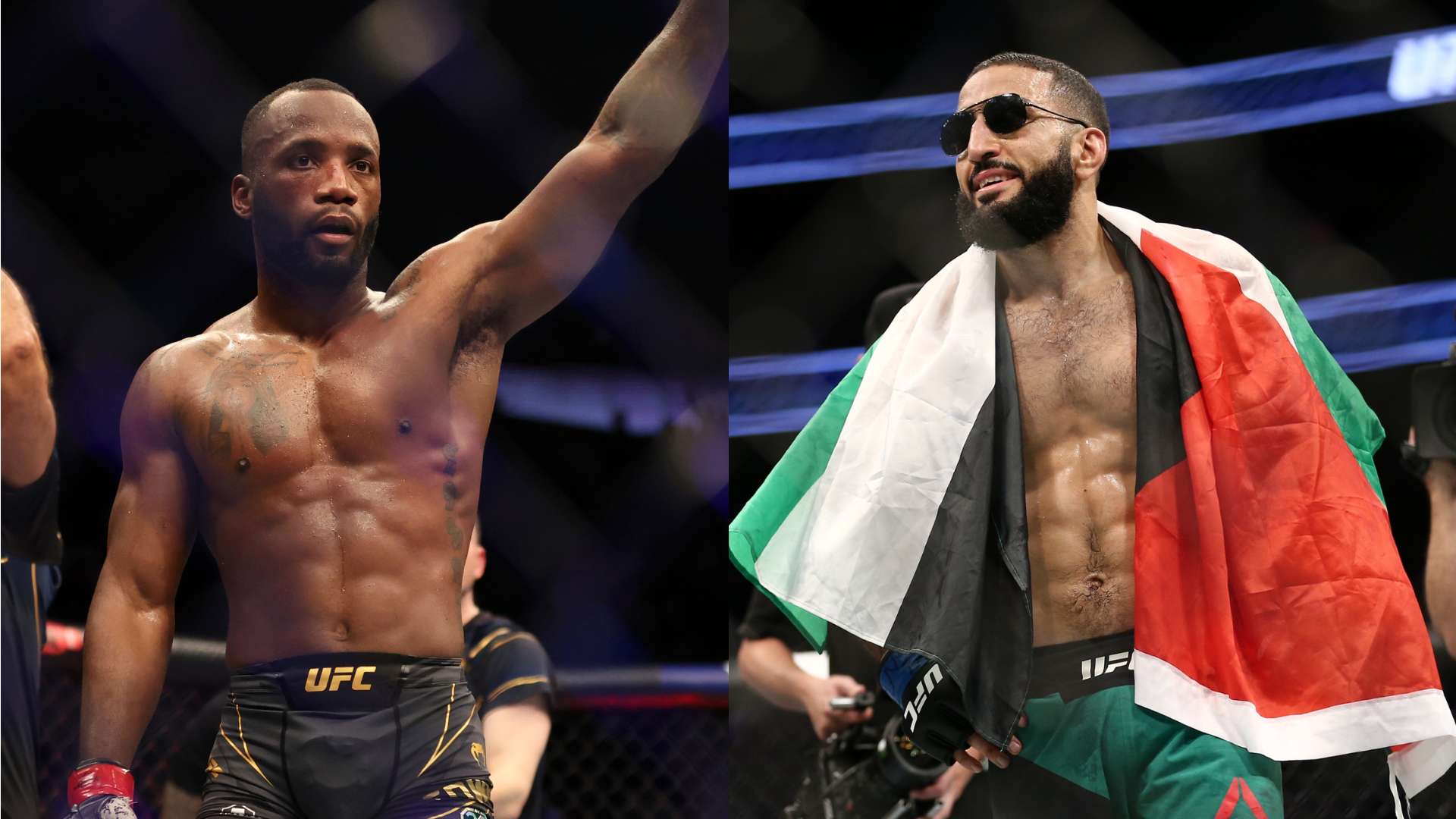 在这个充满 在这个充满